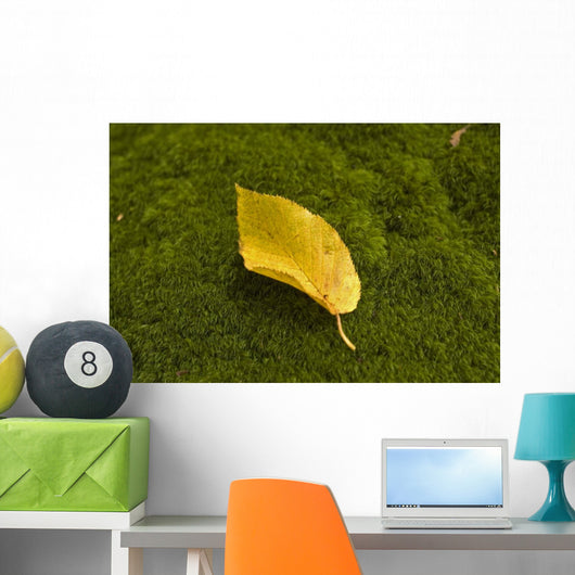Yellow Sheet Wall Decal