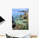 Cap Islands Wall Decal
