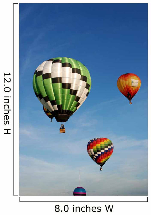 Balloon Fiesta We Wall Decal
