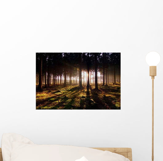 Awaken Forest Wall Decal