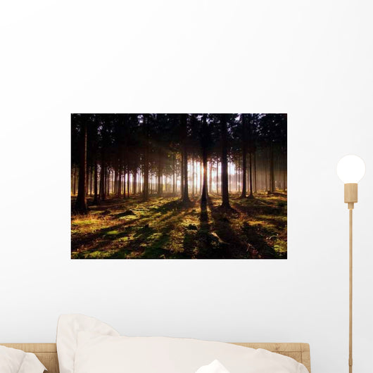 Awaken Forest Wall Decal