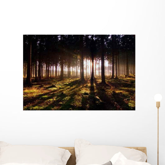 Awaken Forest Wall Decal