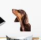 Dachshund Puppy Looking up Wall Decal