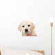Golden Retriever Puppy Wall Decal