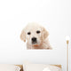 Golden Retriever Puppy Wall Decal