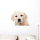 Golden Retriever Puppy Wall Decal