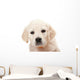 Golden Retriever Puppy Wall Decal