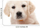 Golden Retriever Puppy Wall Decal