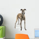 Galgo Espanol 2 Years Wall Decal