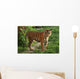 Tiger Wall Decal Design 2
