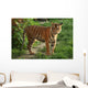 Tiger Wall Decal Design 2