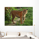Tiger Wall Decal Design 2