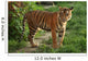 Tiger Wall Decal Design 2