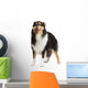 Rough Collie 2 Years Wall Decal