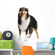 Rough Collie 2 Years Wall Decal
