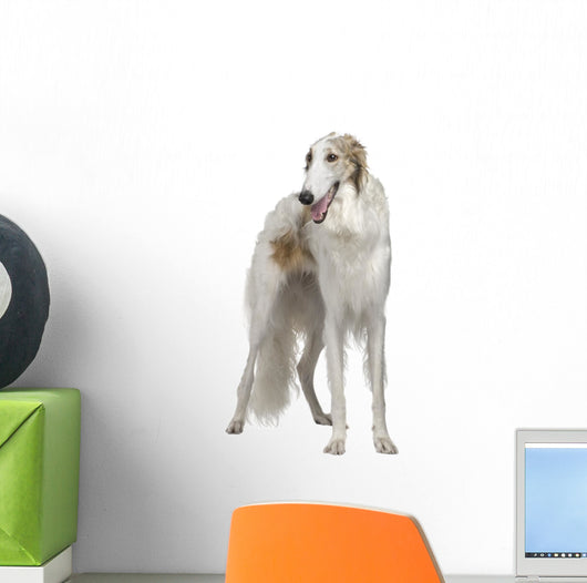 Russian Wolfhound 15 Months Wall Decal