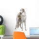 Russian Wolfhound 15 Months Wall Decal