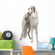 Russian Wolfhound 15 Months Wall Decal