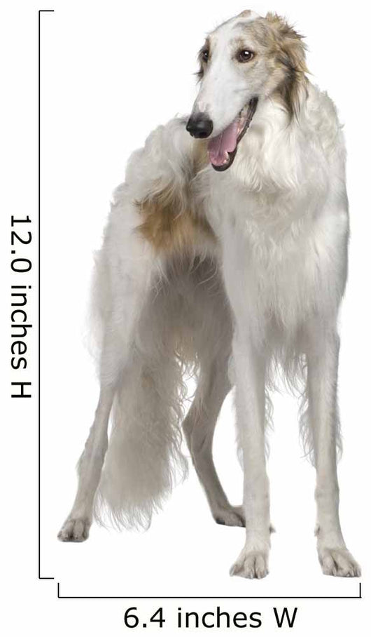 Russian Wolfhound 15 Months Wall Decal