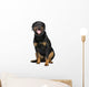Rottweiler 5 Years Wall Decal