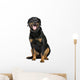 Rottweiler 5 Years Wall Decal