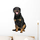 Rottweiler 5 Years Wall Decal