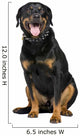 Rottweiler 5 Years Wall Decal