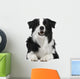 Border Collie Breed 15 Wall Decal