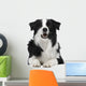 Border Collie Breed 15 Wall Decal