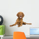 Vizsla 9 Mois Wall Decal