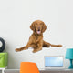 Vizsla 9 Mois Wall Decal