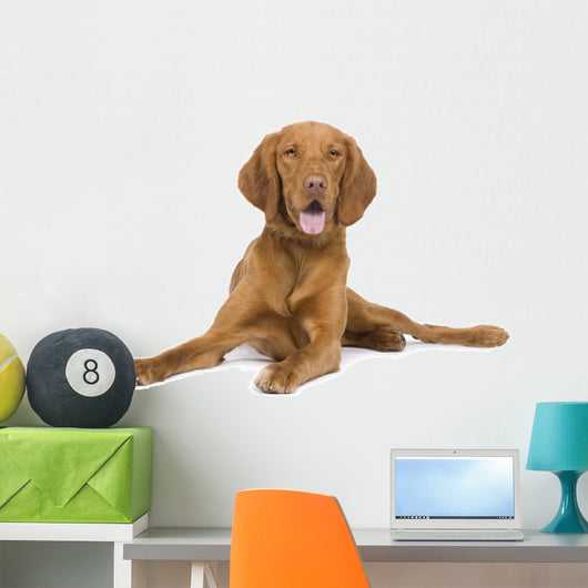 Vizsla 9 Mois Wall Decal