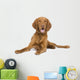 Vizsla 9 Mois Wall Decal