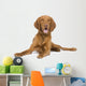 Vizsla 9 Mois Wall Decal
