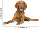 Vizsla 9 Mois Wall Decal