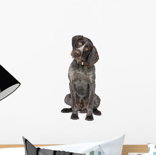 German Short-haired Pointer Dog Wall Decal
