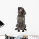 German Short-haired Pointer Dog Wall Decal
