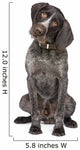 German Short-haired Pointer Dog Wall Decal