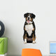 Entlebucher Mountain Dog Wall Decal