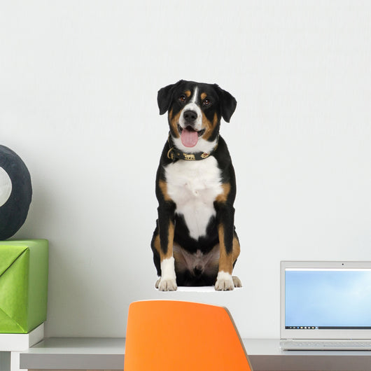 Entlebucher Mountain Dog Wall Decal