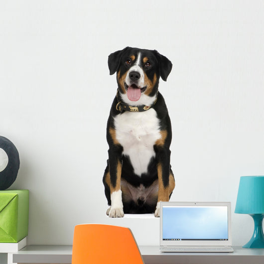Entlebucher Mountain Dog Wall Decal
