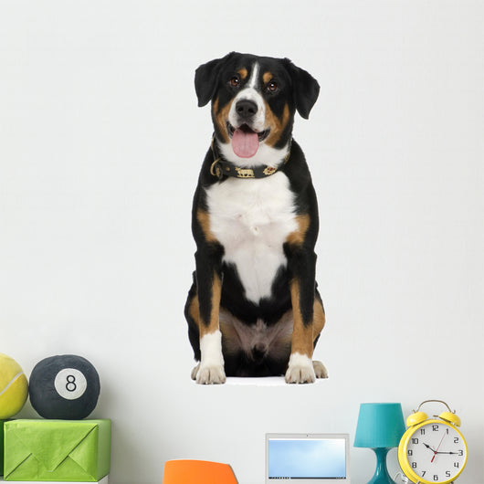 Entlebucher Mountain Dog Wall Decal