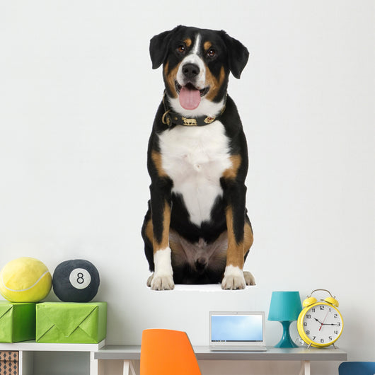 Entlebucher Mountain Dog Wall Decal