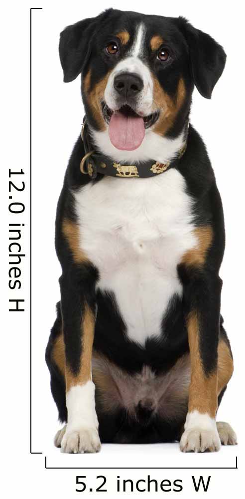 Entlebucher Mountain Dog Wall Decal