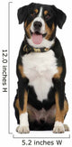 Entlebucher Mountain Dog Wall Decal