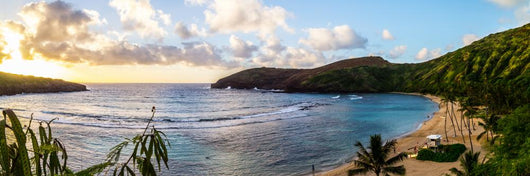 Hanauma Bay Oahu Snorkeling Wall Decal