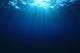 Underwater Sea Ocean Wall Decal