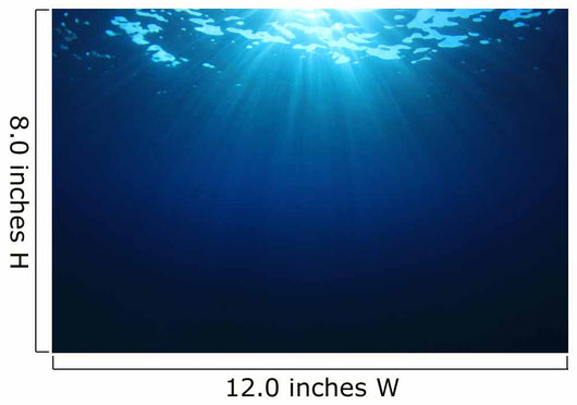 Underwater Sea Ocean Wall Decal