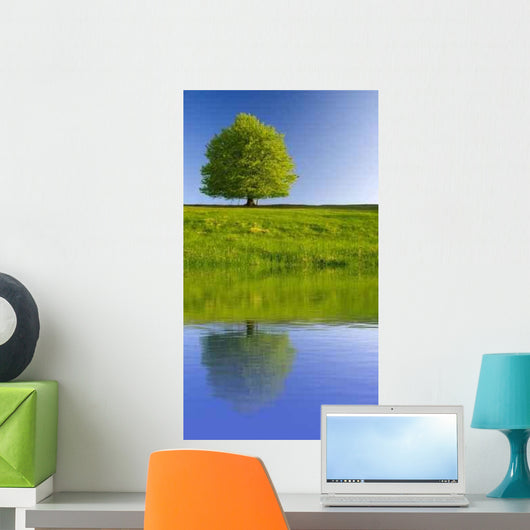 Tree with Reflection Wall Decal