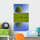 Tree with Reflection Wall Decal